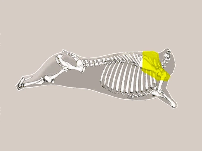 Diagrama AGUJA CON COGOTE