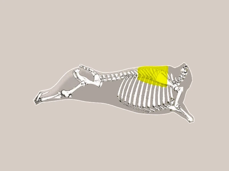 Diagrama OJO DE BIFE ANCHO